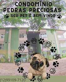 Cas piedras preciosas de condominios