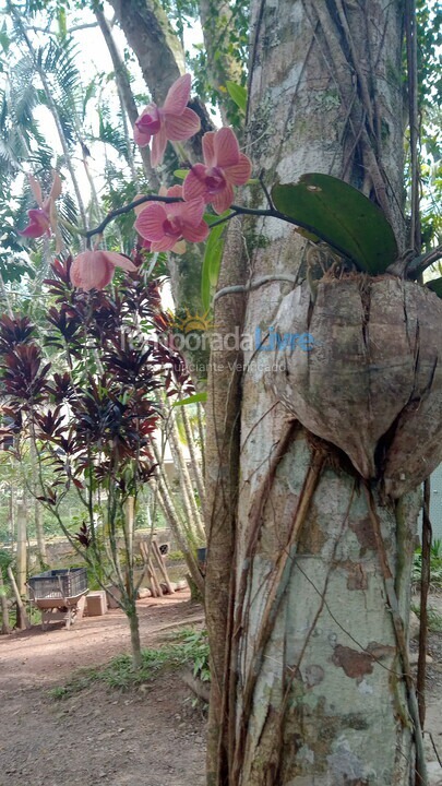 Apartamento para alquiler de vacaciones em Ubatuba (Tabatinga)