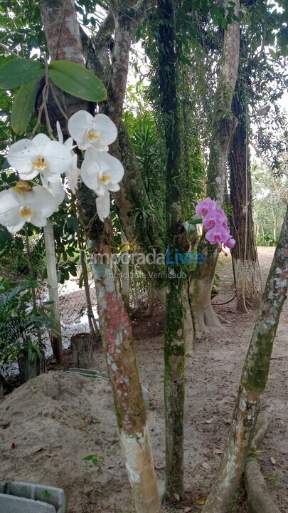 Apartamento para alquiler de vacaciones em Ubatuba (Tabatinga)