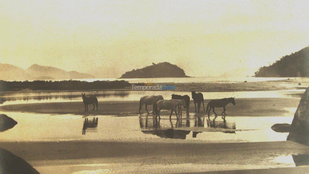 Casa para aluguel de temporada em Ubatuba (Lagoinha)