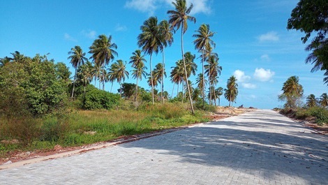 Novo acesso a praia ponta do santo cristo - são miguel do gostoso - rn