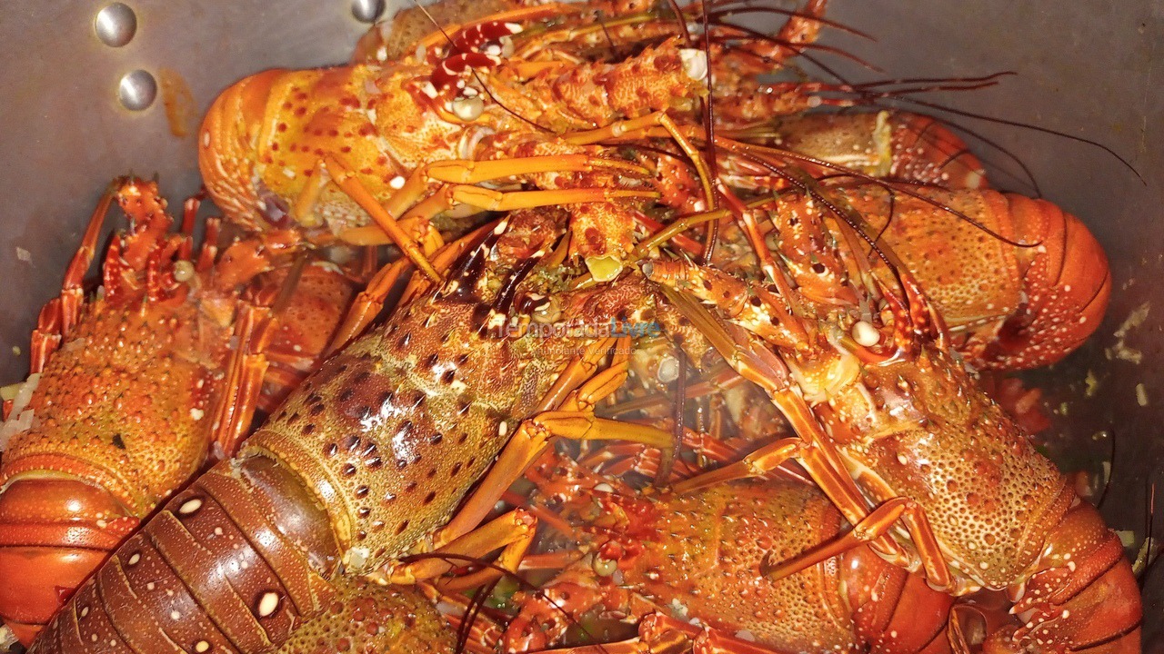 Casa para aluguel de temporada em Touros (Monte Alegre)