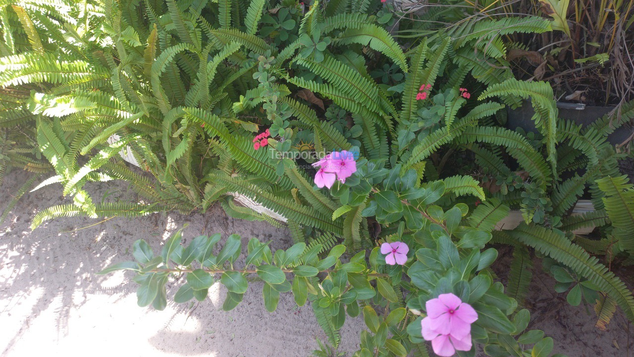 Casa para alquiler de vacaciones em Maraú (Praia do Sapinho)