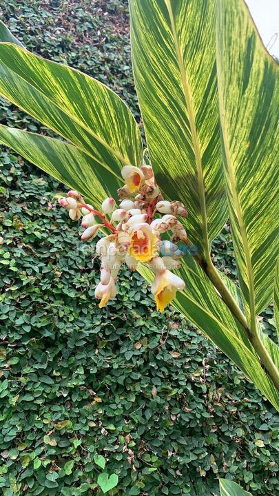 Casa para alquiler de vacaciones em São Sebastião (Juquehy)