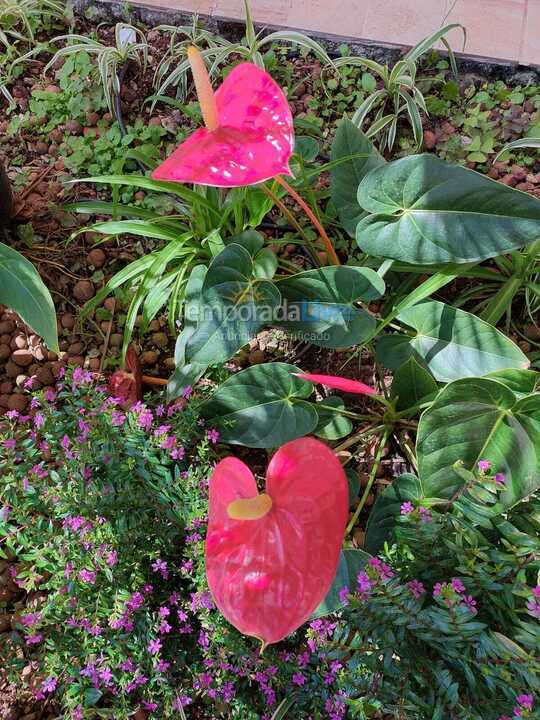 Casa para alquiler de vacaciones em São Sebastião (Juquehy)
