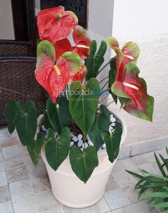 Casa para alquiler de vacaciones em São Sebastião (Juquehy)