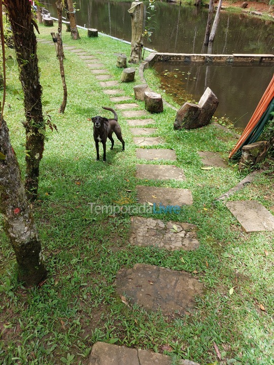 Chácara / sítio para aluguel de temporada em Suzano (Palmeiras)