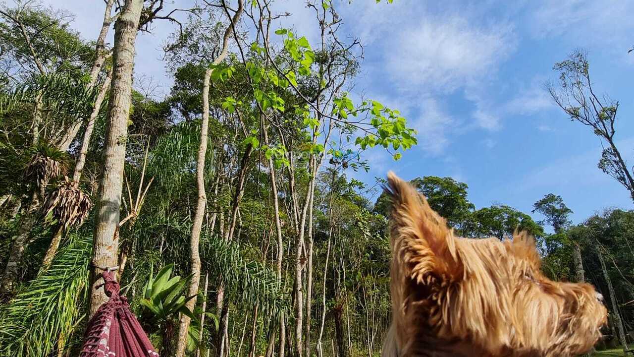 Chácara / sítio para aluguel de temporada em Suzano (Palmeiras)
