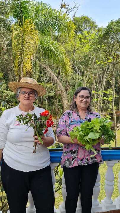 Chácara / sítio para aluguel de temporada em Suzano (Palmeiras)