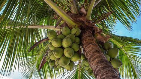 Casa Margot conforto frente ao mar