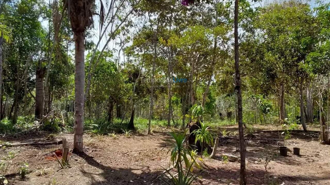 Chácara / sítio para aluguel de temporada em Itacaré (Vila Camboinha)