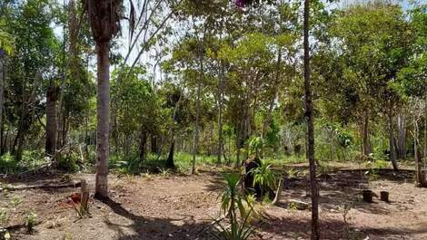 Sitio agricola e Spa