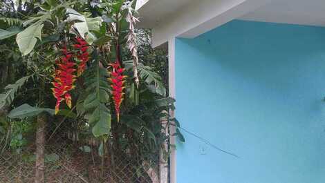 ¿Buscas paz y diversión con mucha vegetación?