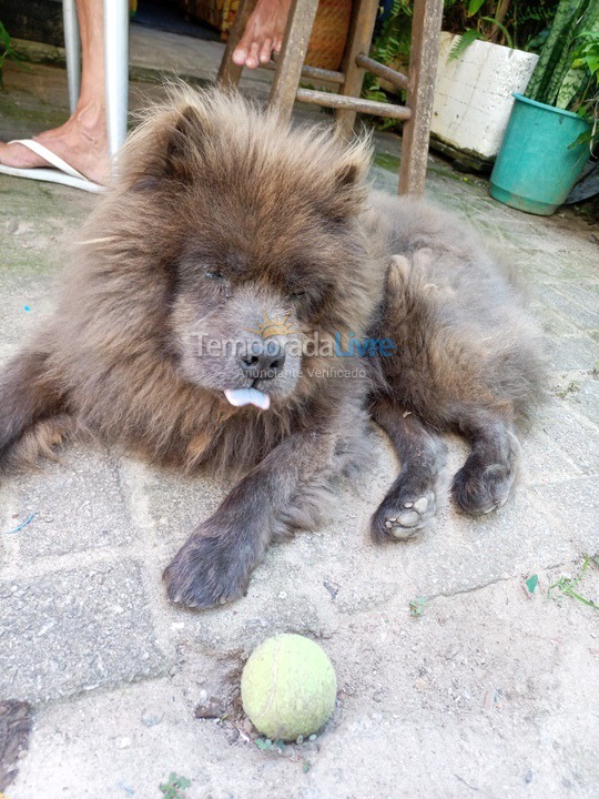 Casa para alquiler de vacaciones em Florianopolis (Praia dos Ingleses)