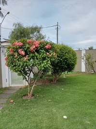Casa nueva con piscina y barbacoa cerca de la playa