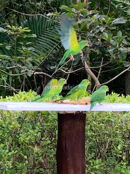 Casa para aluguel de temporada em Bertioga (Praia de Guaratuba)