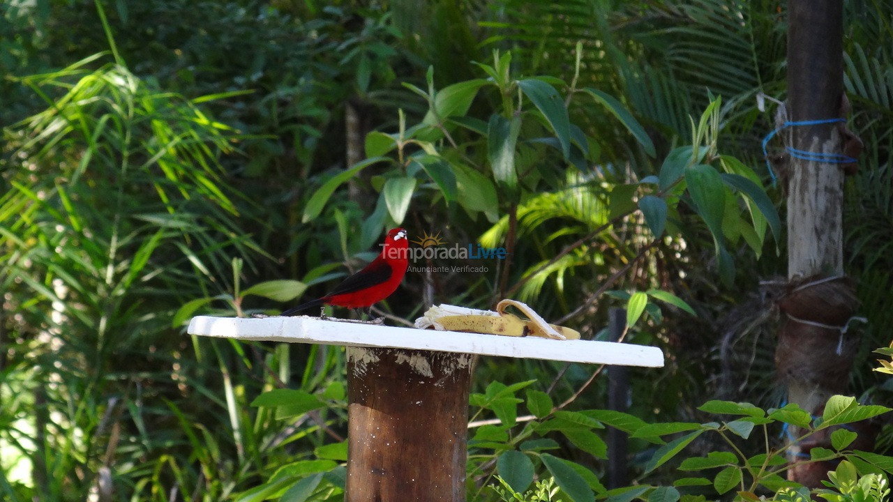 Casa para aluguel de temporada em Bertioga (Praia de Guaratuba)