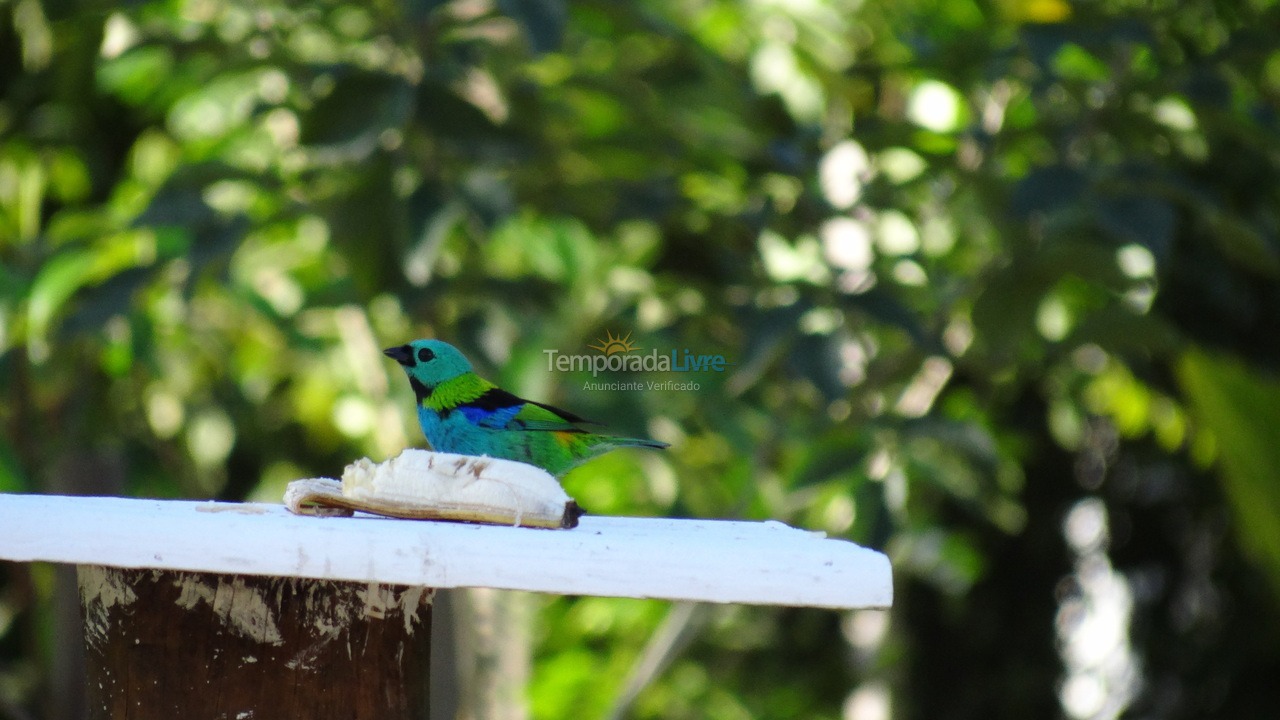 Casa para aluguel de temporada em Bertioga (Praia de Guaratuba)