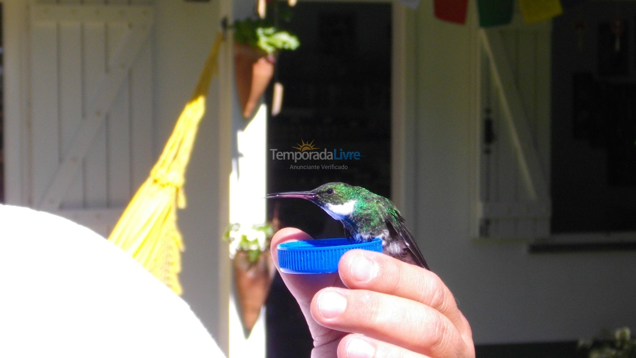 House for vacation rental in Canela (Vila Suzana)