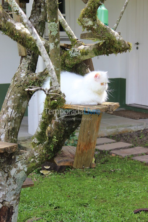 House for vacation rental in Canela (Vila Suzana)