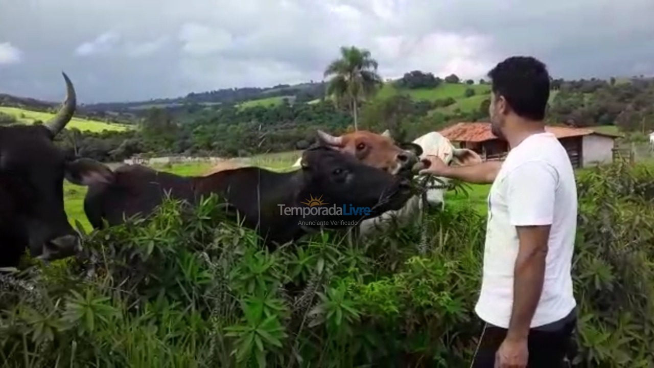 Granja para alquiler de vacaciones em Guareí (Floresta)
