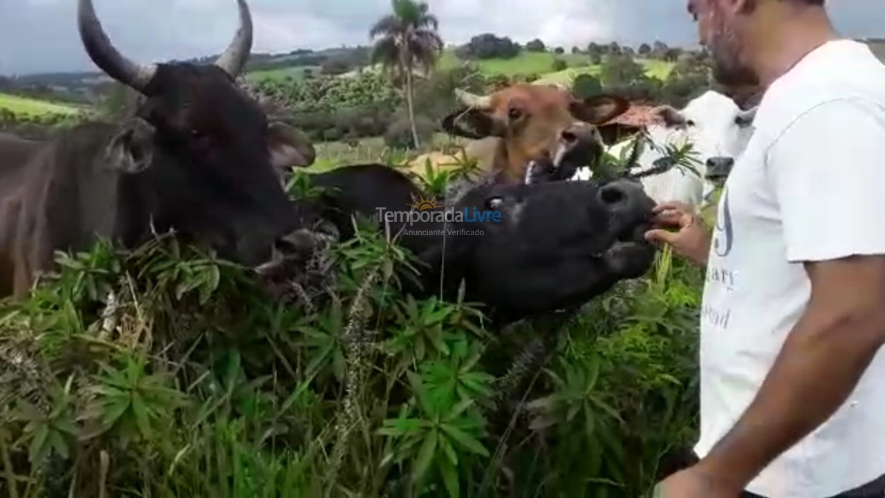 Granja para alquiler de vacaciones em Guareí (Floresta)