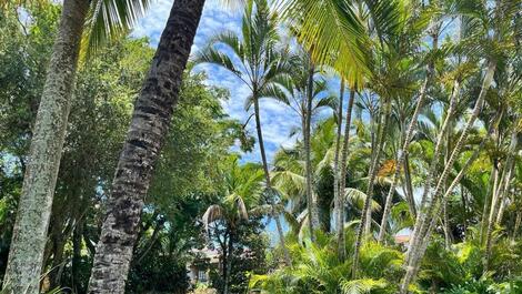 Large Duplex inside Posada, Servicios y Jardines