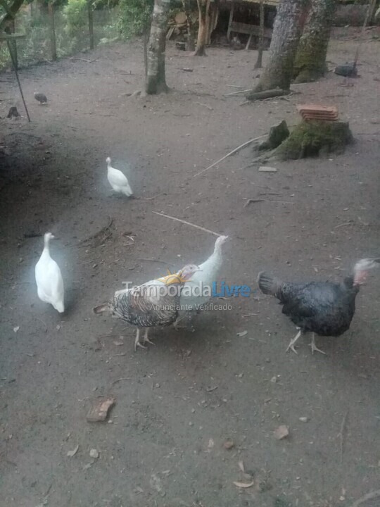 Casa para alquiler de vacaciones em Colombo (Colombro)