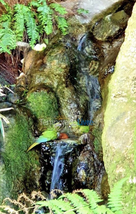 Casa para aluguel de temporada em Ilhabela (Perequê)