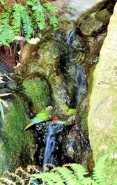 Casa charmosa e vista show