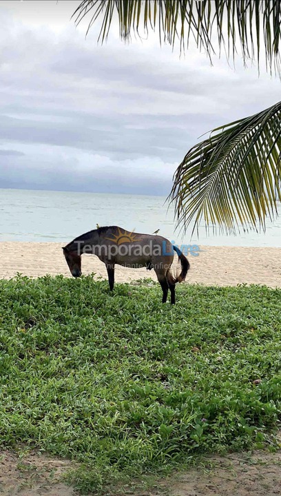 House for vacation rental in Ipojuca (Praia de Serrambi)