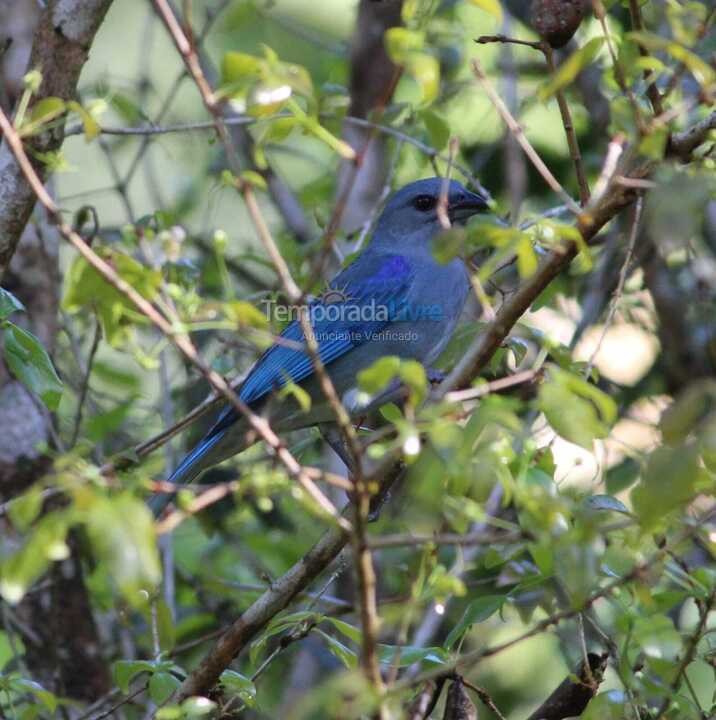 House for vacation rental in Paraty (Canto Verde)