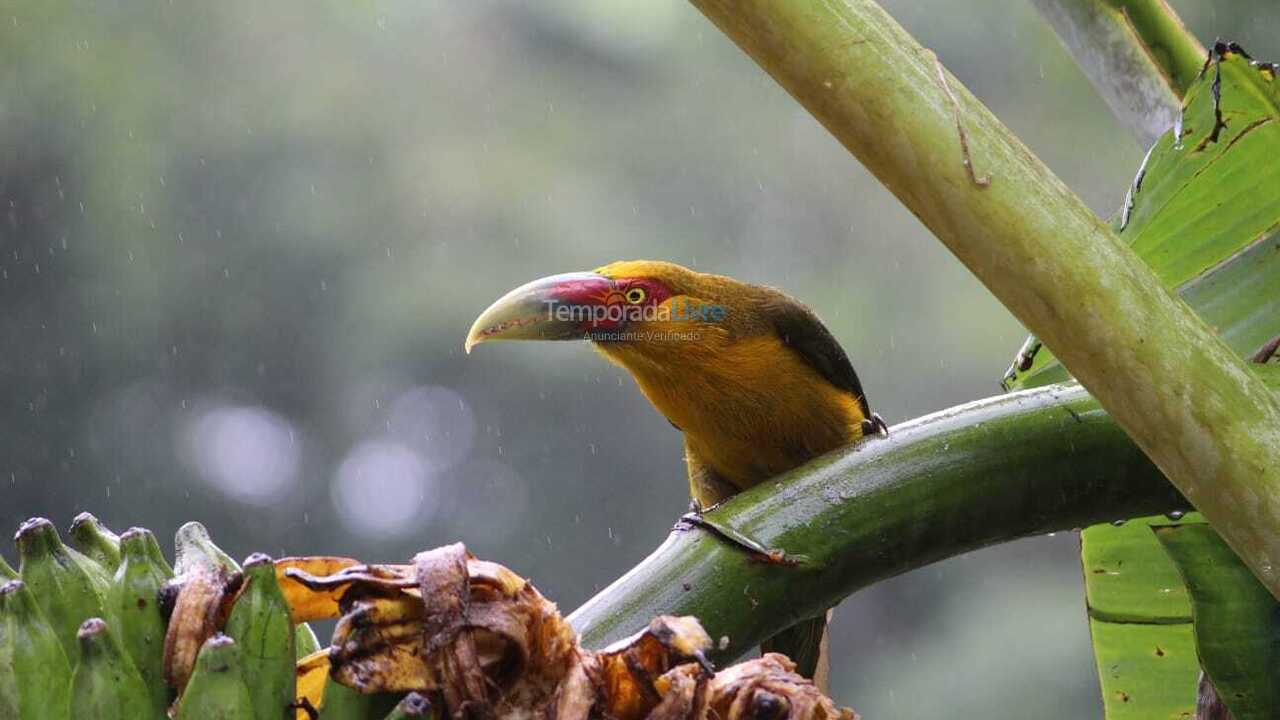 House for vacation rental in Paraty (Canto Verde)