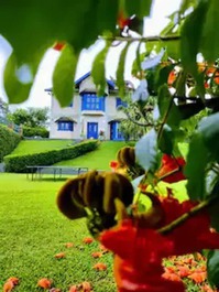 Casa para alugar em Mairiporã - Lago do Imperador