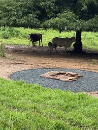 Espaço para fogueira de chão