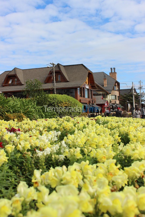House for vacation rental in Canela (Vila Suzana)