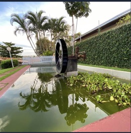 Rodao d’água tanque peixes 