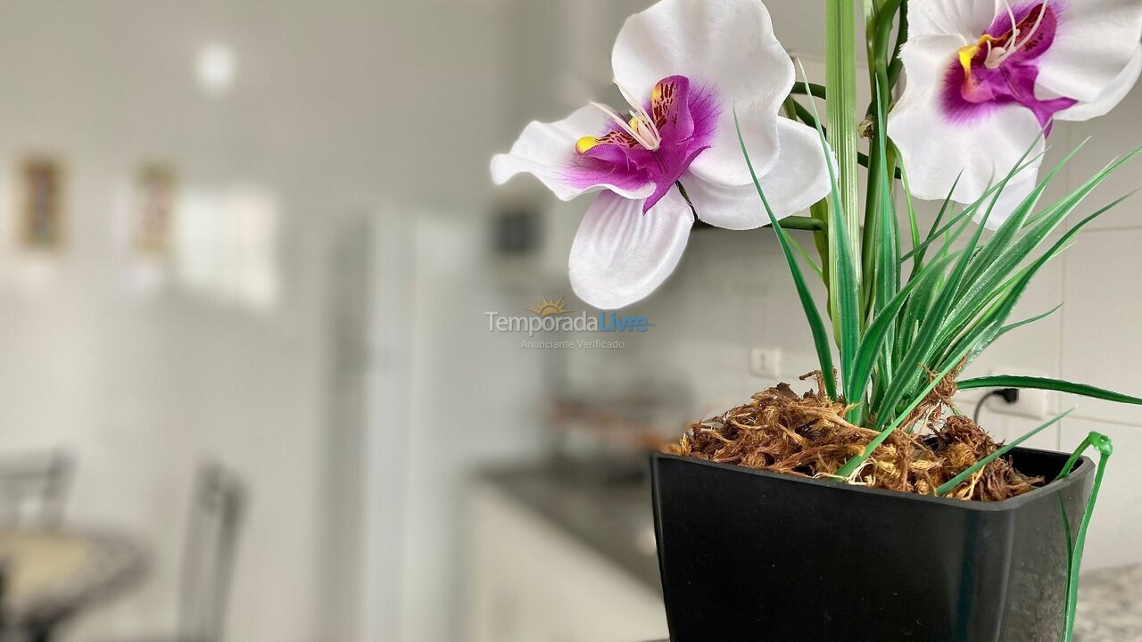 Apartamento para aluguel de temporada em Praia Grande (Aviação)