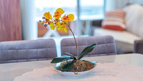 Apartment very well located