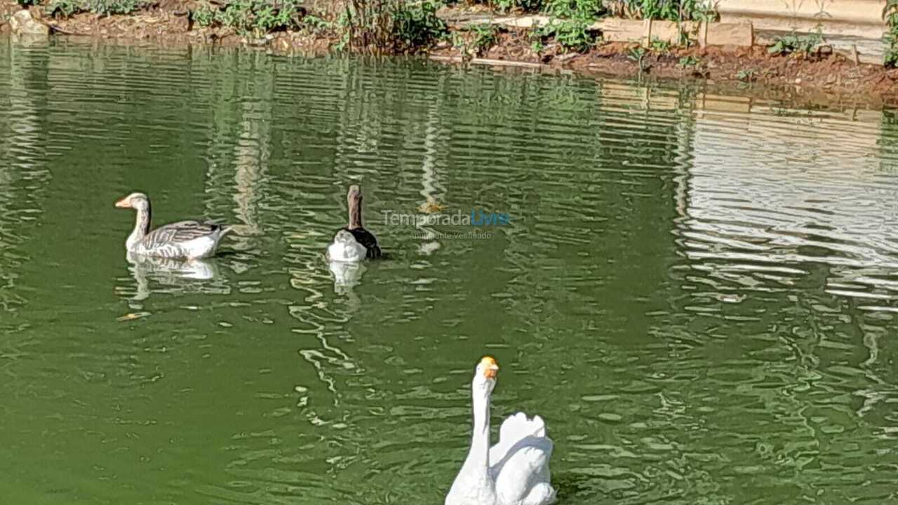 Granja para alquiler de vacaciones em Mairiporã (Terra Preta)