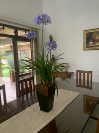 Finca/finca en alquiler vacacional en Amparo