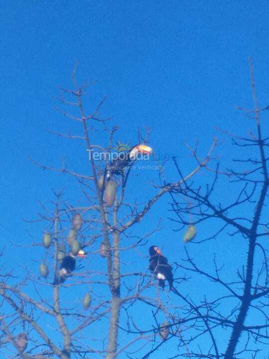 Casa para alquiler de vacaciones em Ubatuba (Praia de Itamambuca)