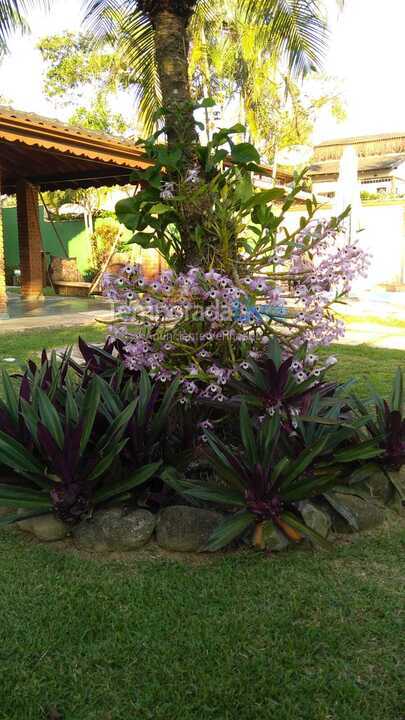 Casa para alquiler de vacaciones em Ubatuba (Praia de Itamambuca)