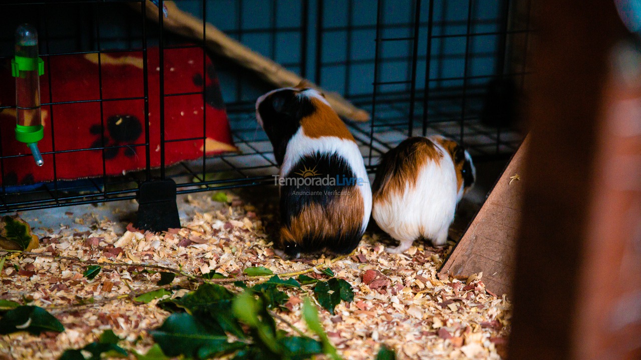 Ranch for vacation rental in Seropédica (Campo Lindo)