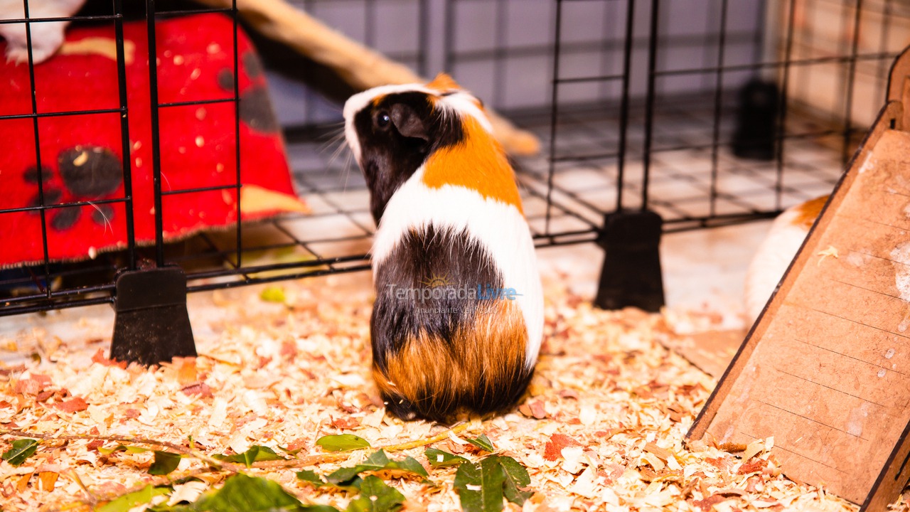 Ranch for vacation rental in Seropédica (Campo Lindo)