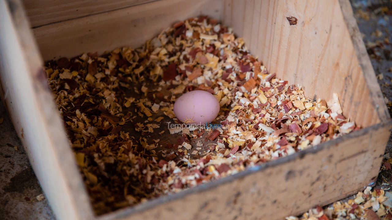 Ranch for vacation rental in Seropédica (Campo Lindo)