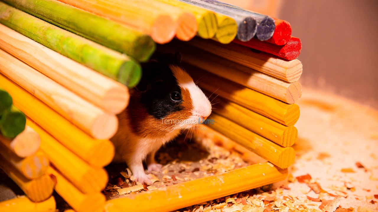 Ranch for vacation rental in Seropédica (Campo Lindo)