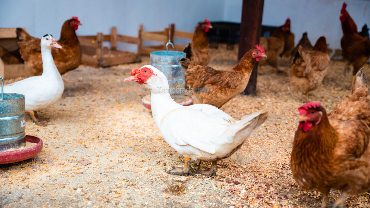 Ranch for vacation rental in Seropédica (Campo Lindo)