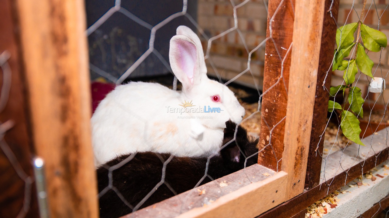 Ranch for vacation rental in Seropédica (Campo Lindo)