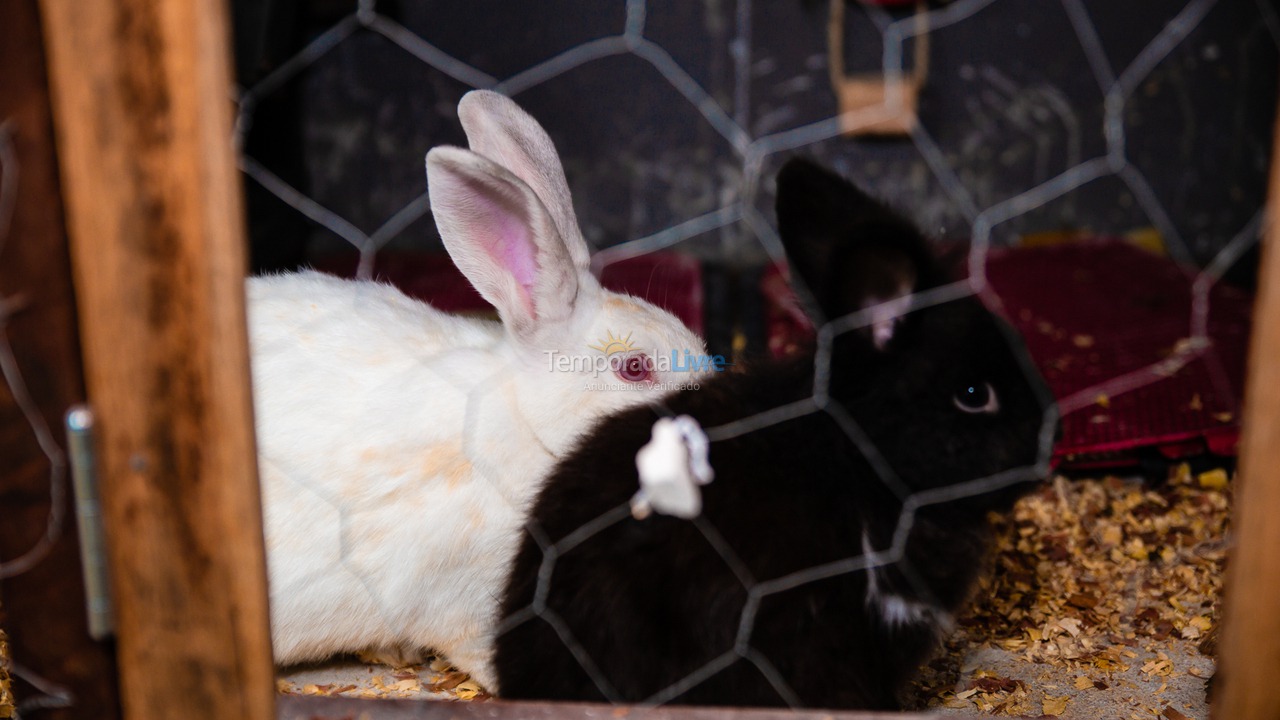 Ranch for vacation rental in Seropédica (Campo Lindo)